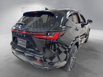 2024 Lexus NX 250 Base