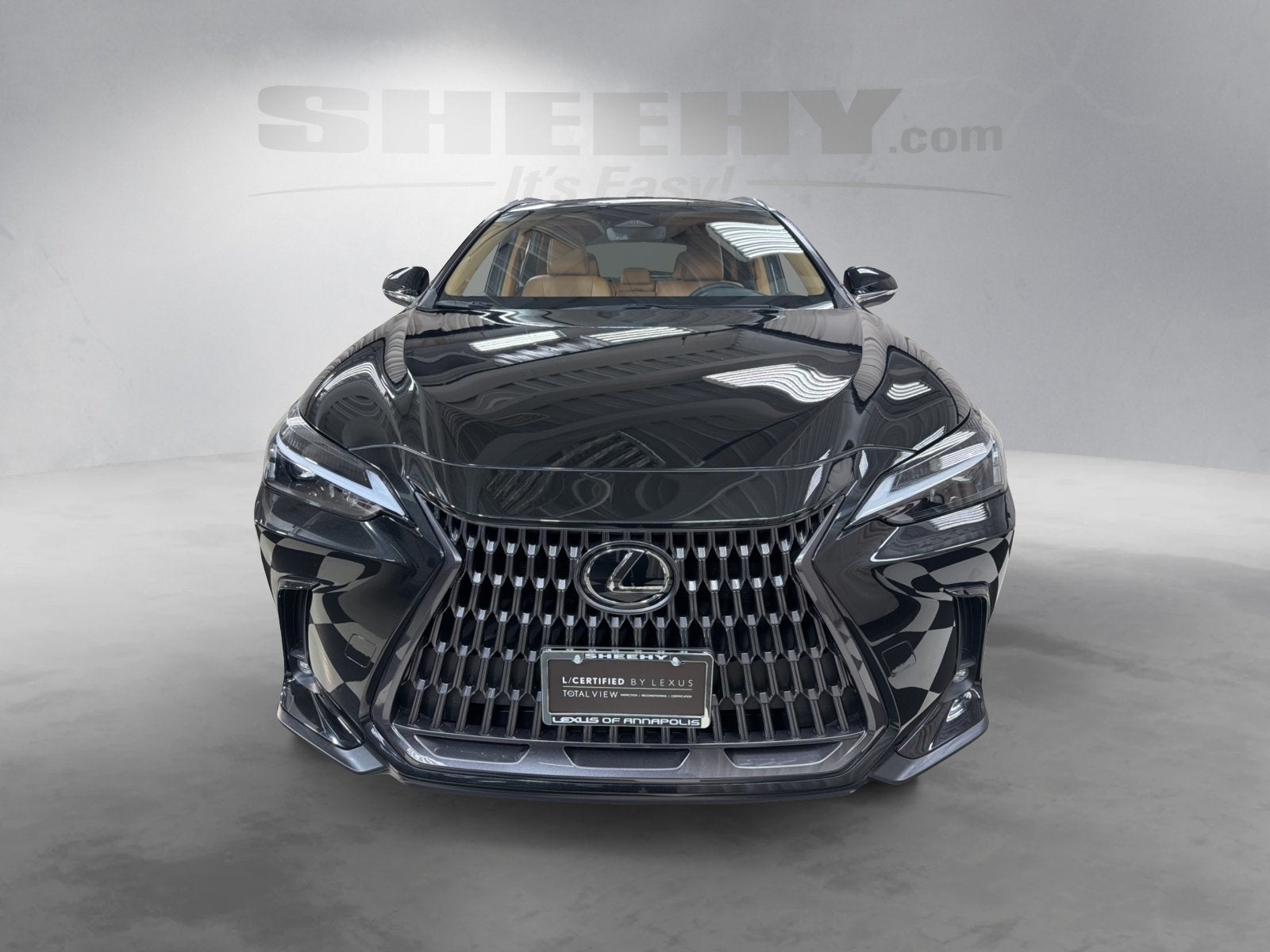 2024 Lexus NX 250 Base