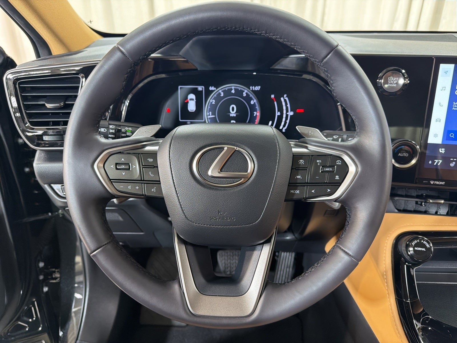 2024 Lexus NX 250 Base