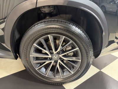 2024 Lexus NX 250 Base