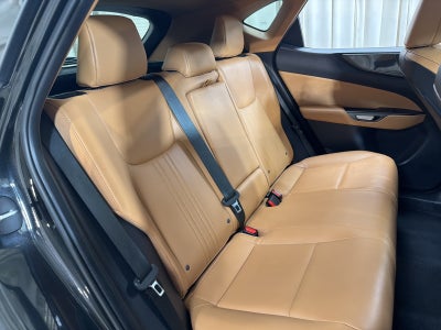 2024 Lexus NX 250 Base