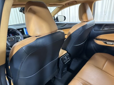 2024 Lexus NX 250 Base