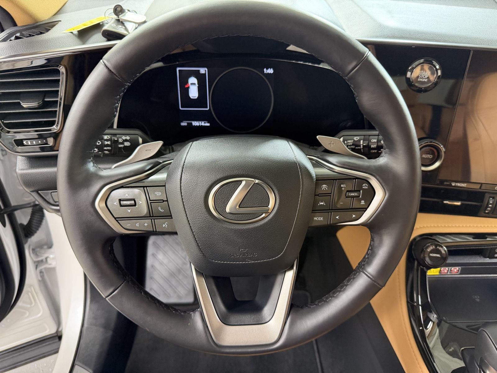 2025 Lexus Nx NX 250