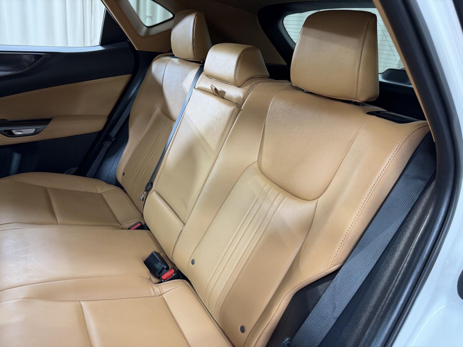 2025 Lexus Nx NX 250