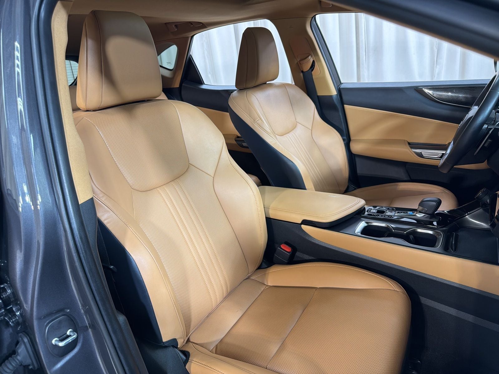 2024 Lexus NX 350 Base