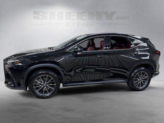 2024 Lexus NX 350 Base