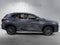 2024 Lexus NX 350 Base
