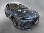 2024 Lexus NX 350 Base