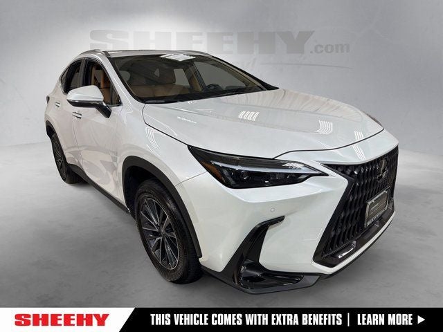 2025 Lexus NX 350 Base