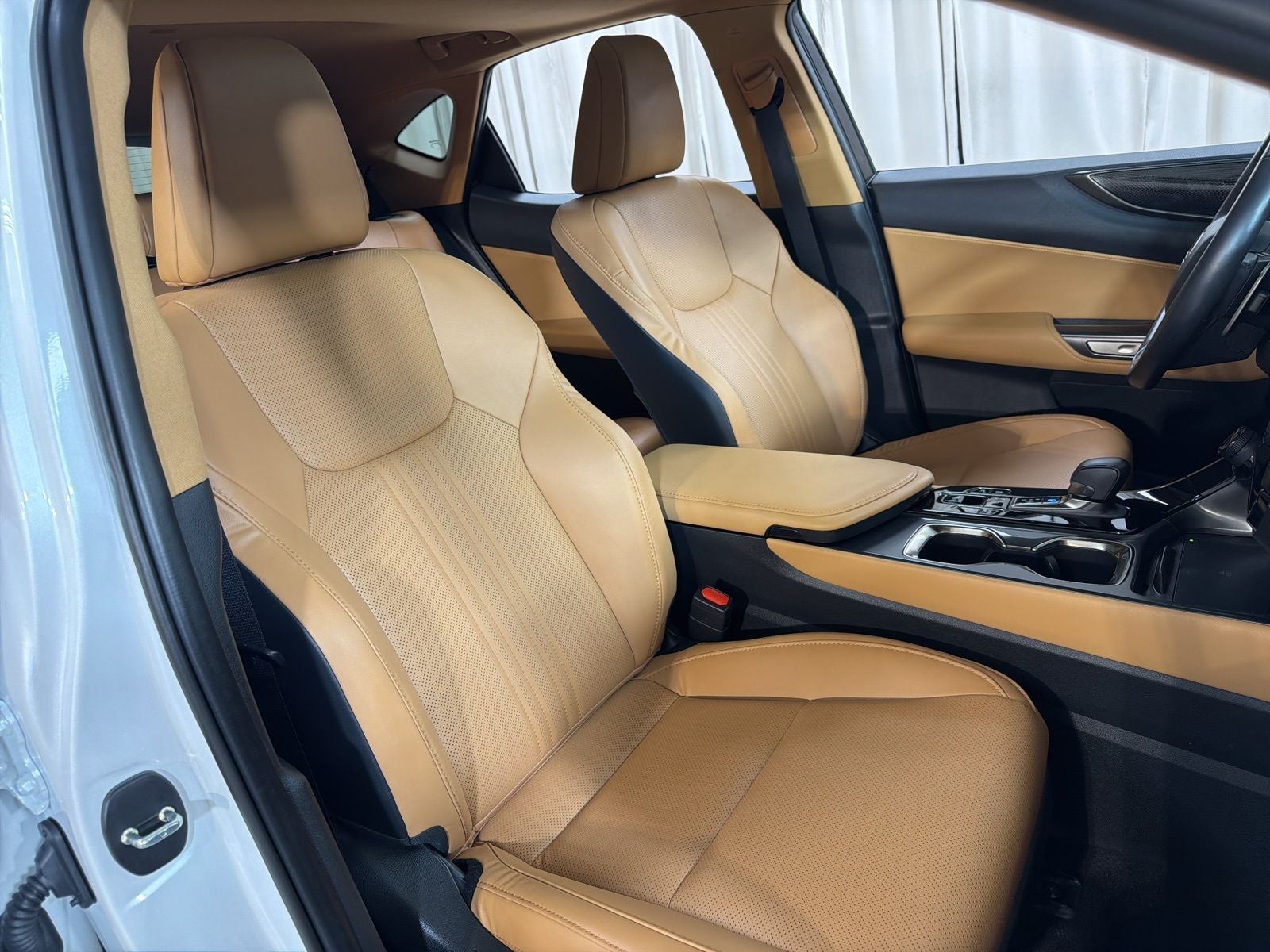 2025 Lexus NX 350 Base