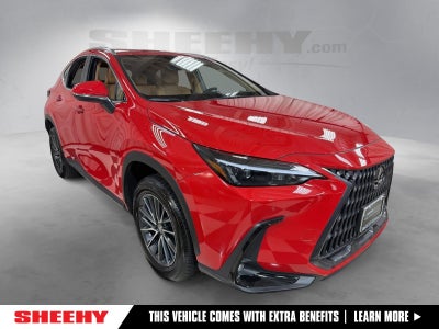2025 Lexus NX 350 Base