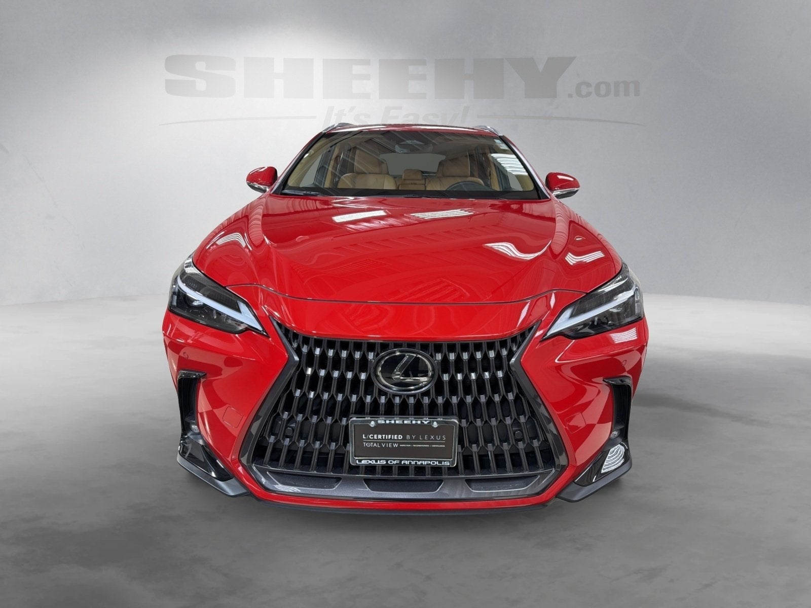 2025 Lexus NX 350 Base