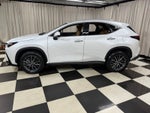 2022 Lexus NX 350h Base