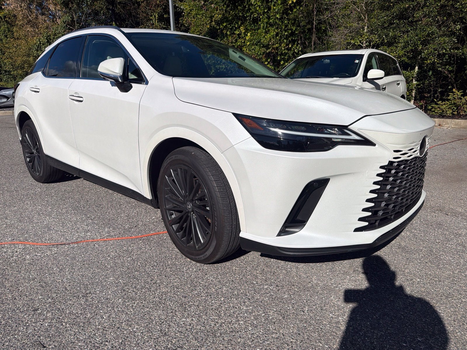 2024 Lexus RX