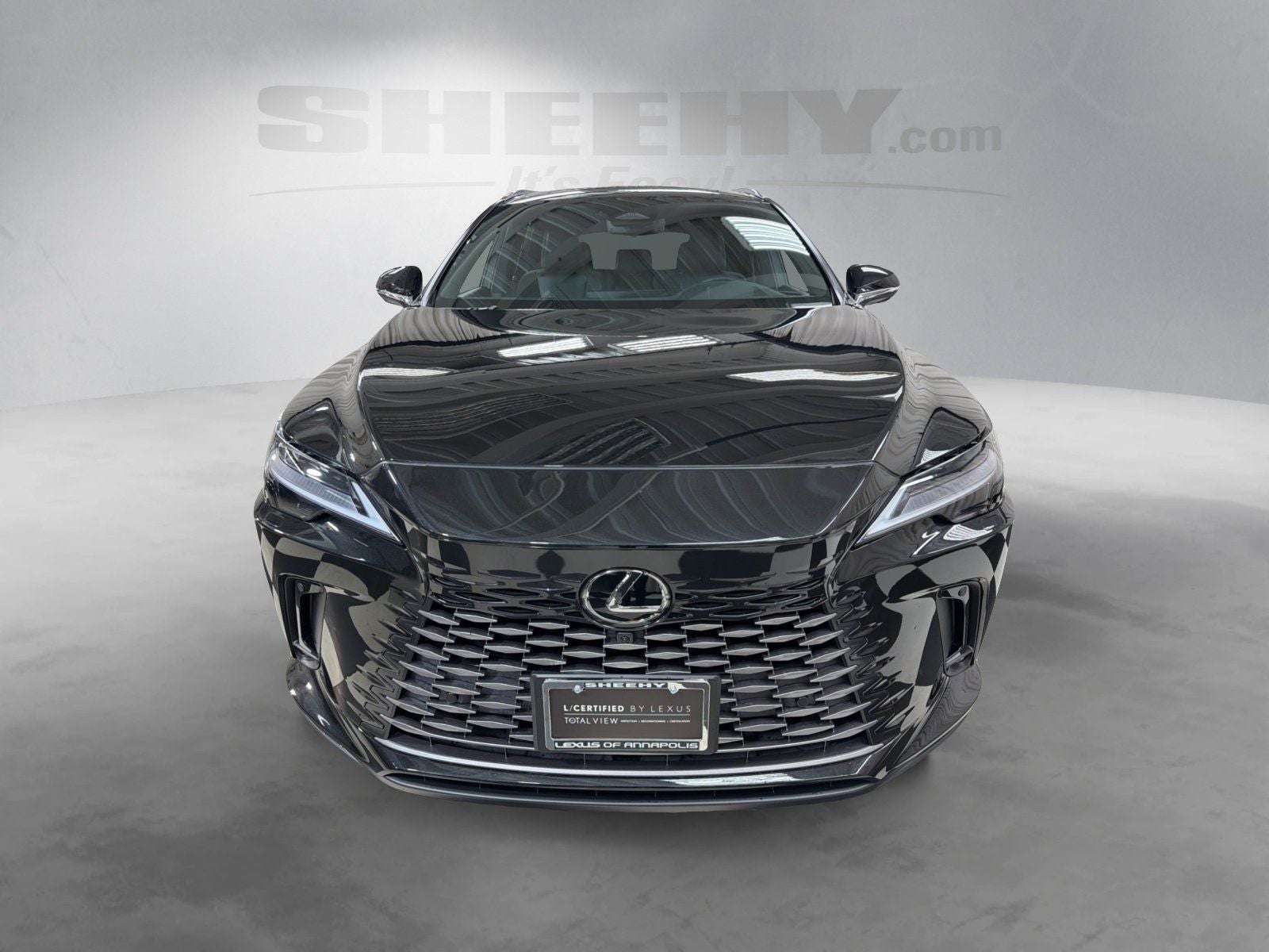 2025 Lexus RX 350 Luxury