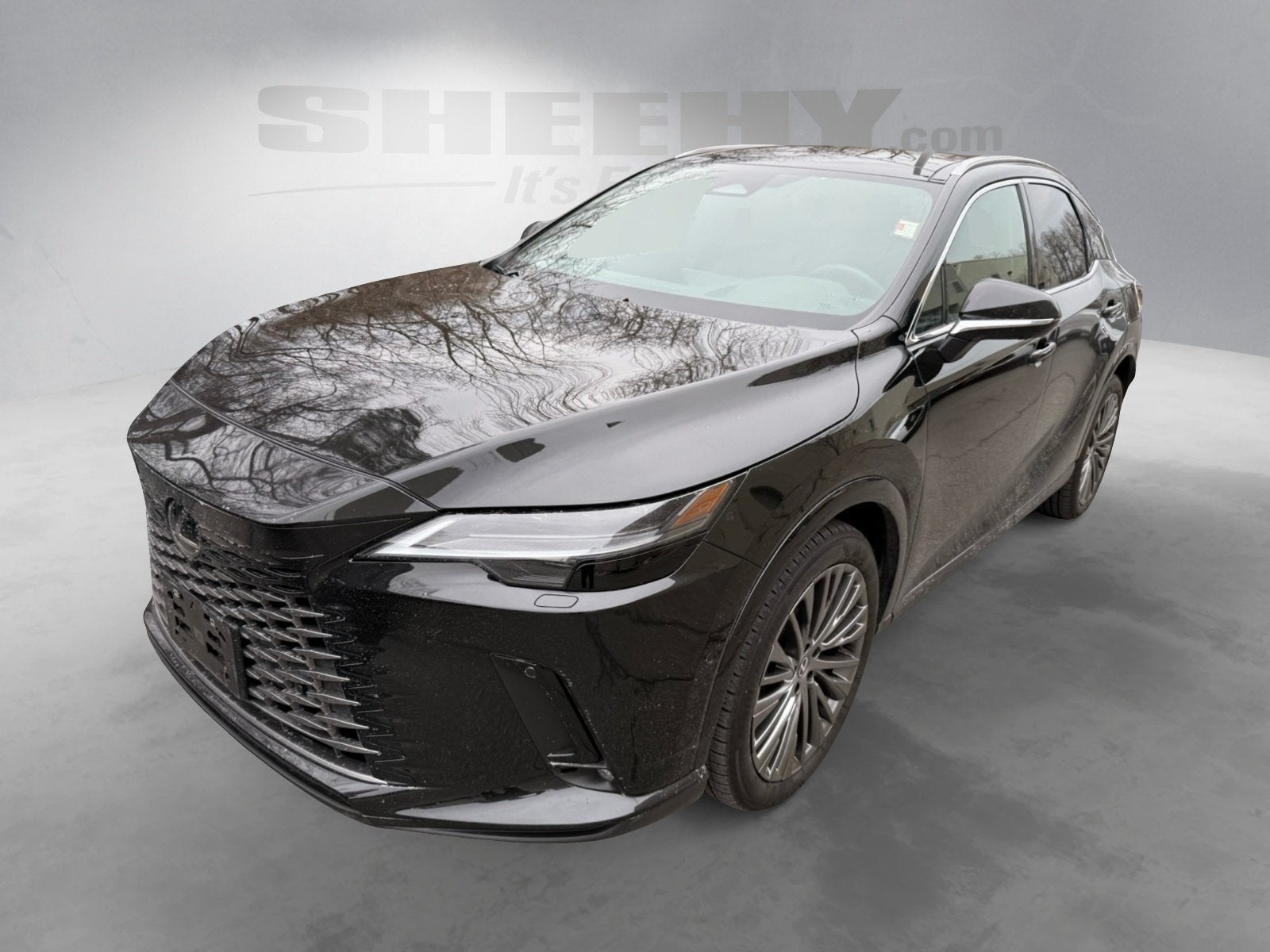 2025 Lexus RX 350 Luxury