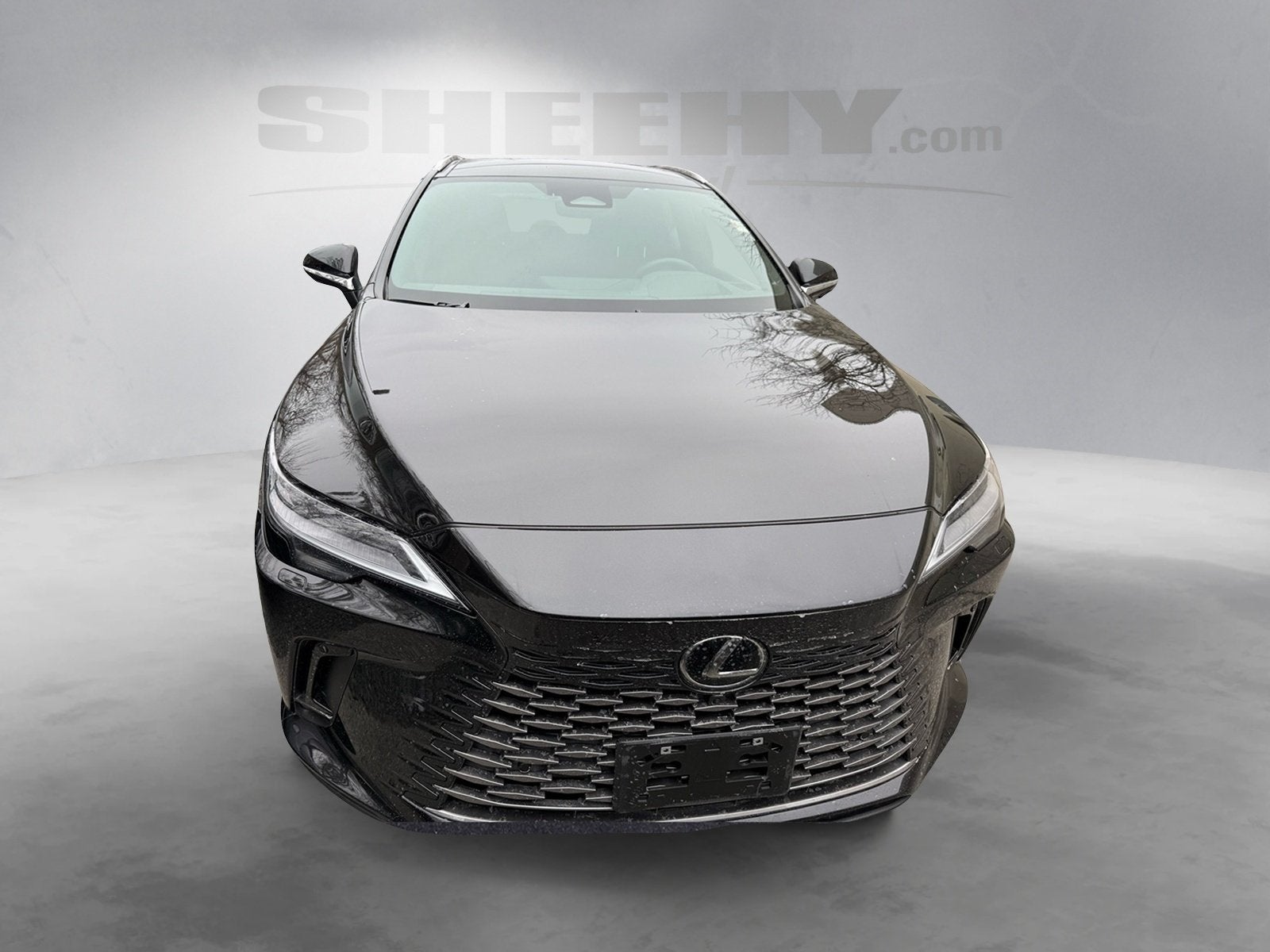 2025 Lexus RX 350 Luxury