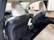 2024 Lexus RX 350 Luxury