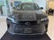 2025 Lexus RX 350h Premium Plus