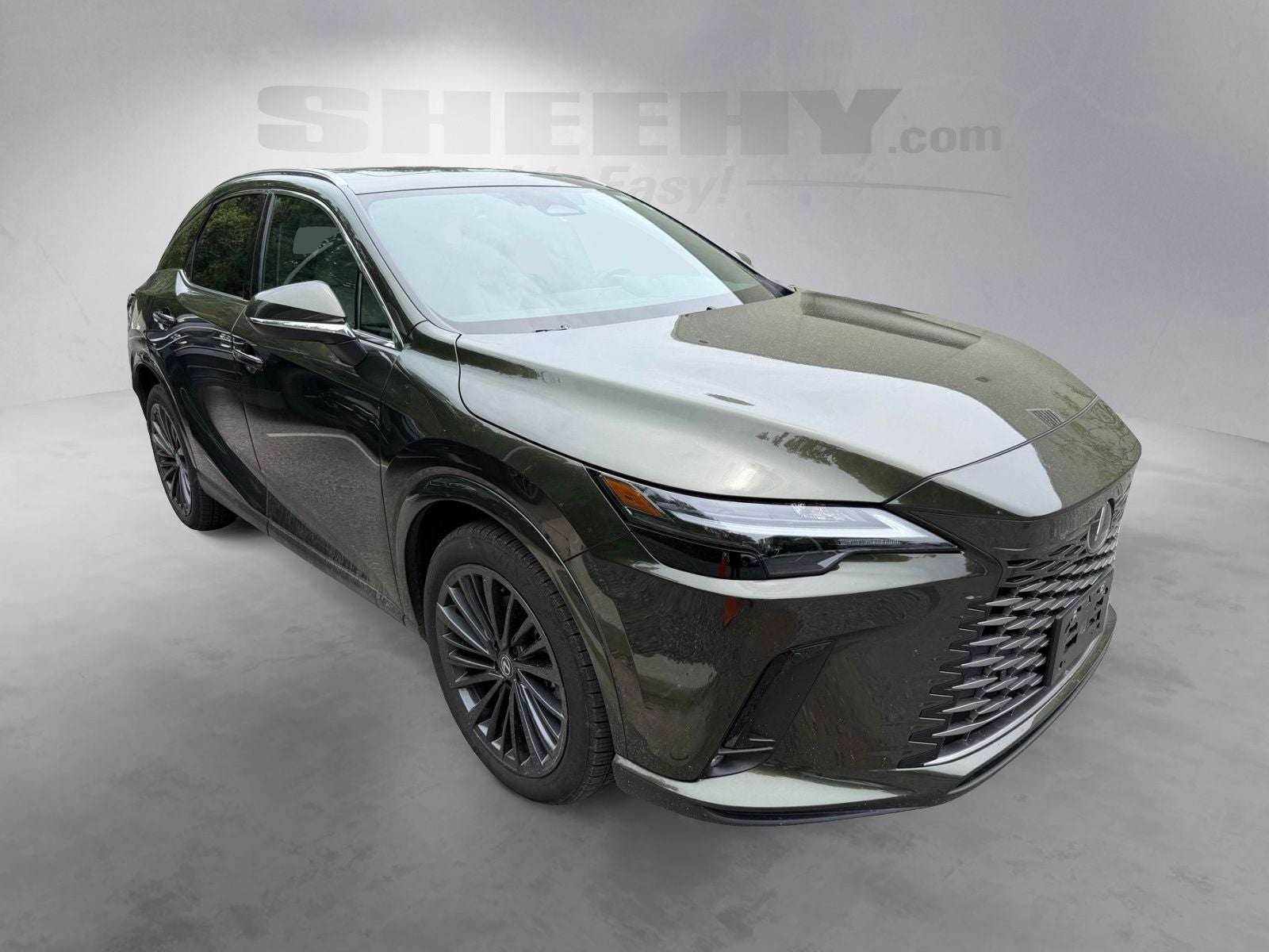 2025 Lexus RX 350h Premium