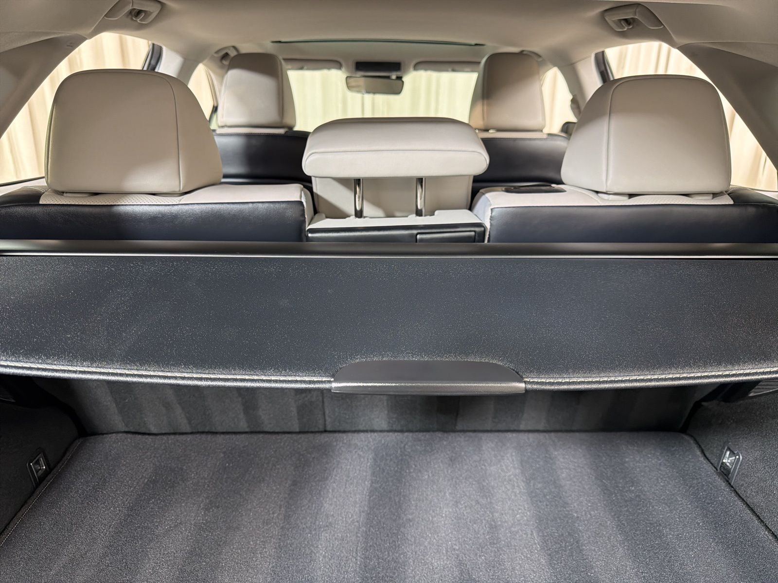 2019 Lexus RX 450h