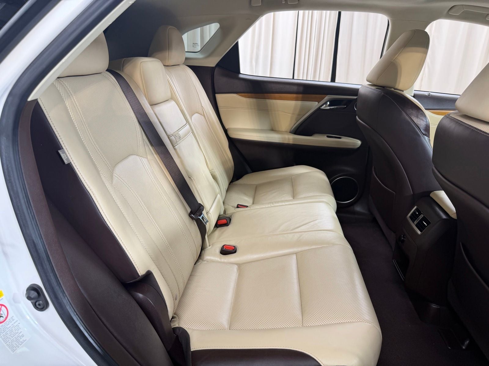 2019 Lexus RX 450h