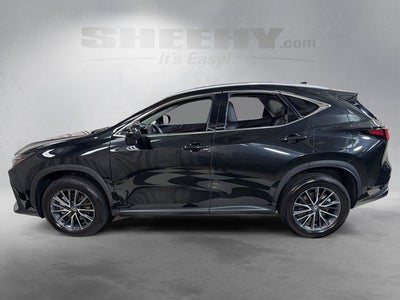 2024 Lexus NX 350 Premium