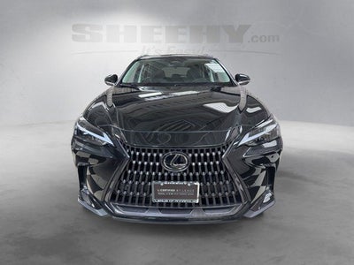 2024 Lexus NX 350 Premium