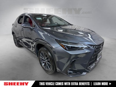 2024 Lexus NX 350 Premium
