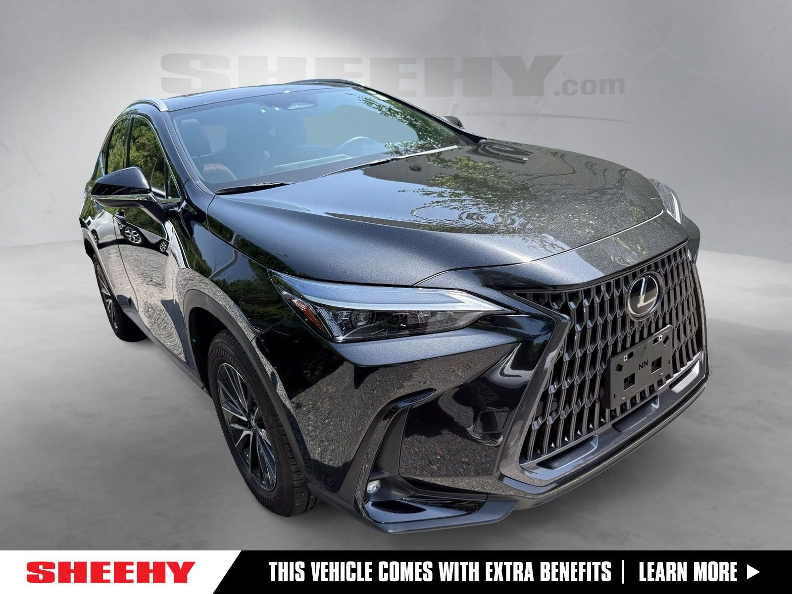 2024 Lexus NX 350 Premium