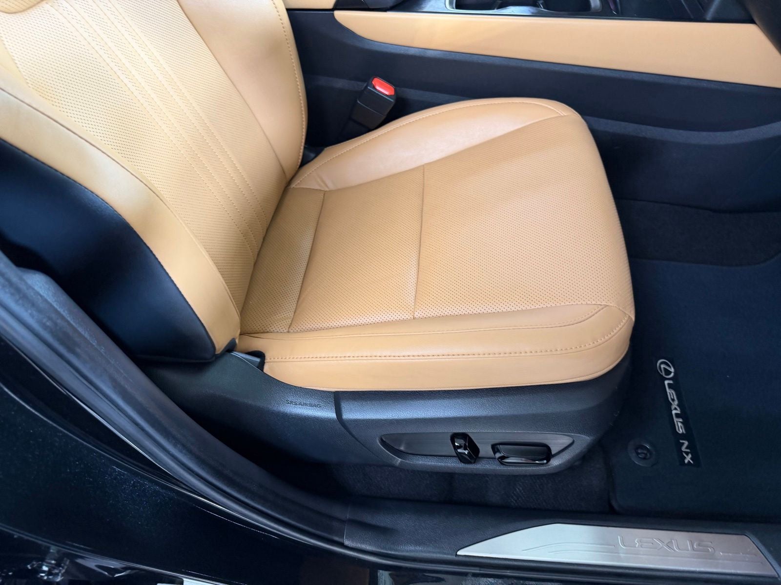 2024 Lexus NX 350 Premium