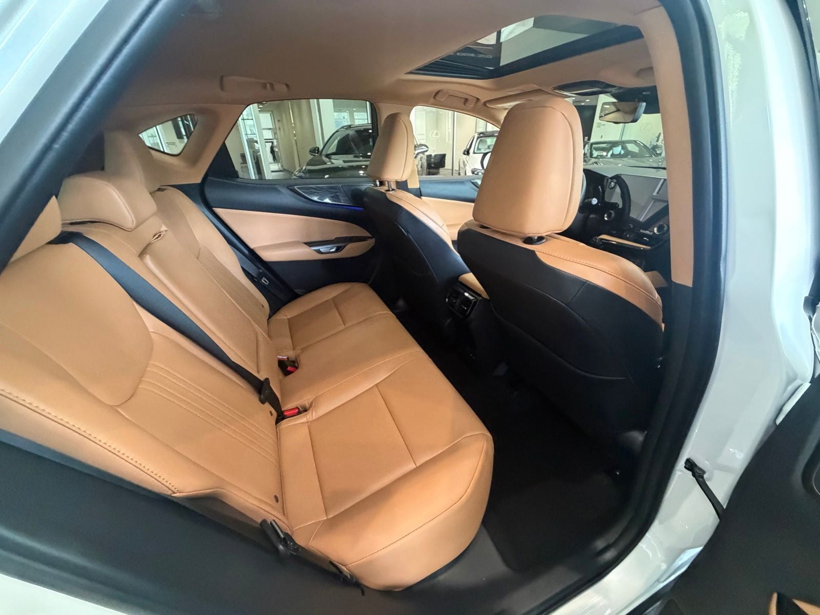 2025 Lexus NX 350 Premium