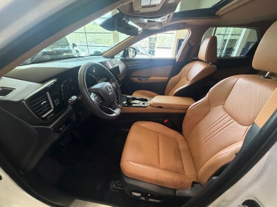 2025 Lexus NX 350 Premium