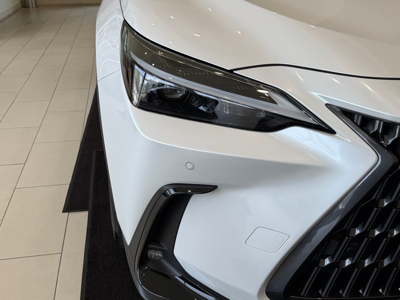 2025 Lexus NX 350 Premium