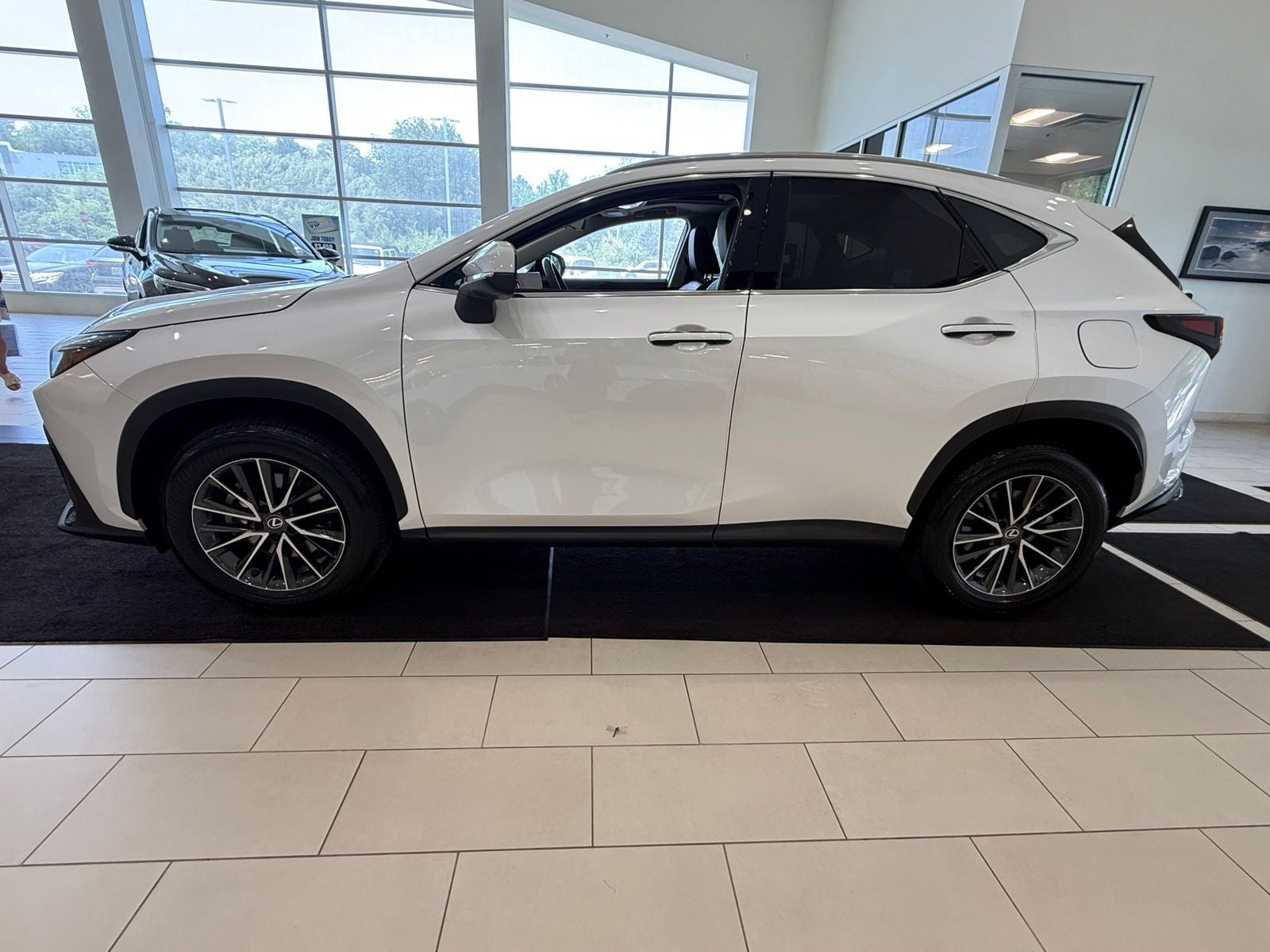 2025 Lexus NX 350 Premium