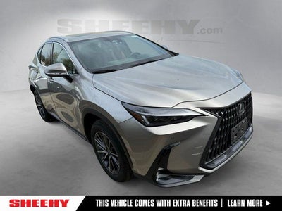 2025 Lexus NX 350 Premium