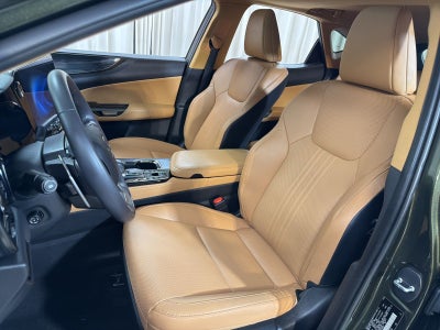 2023 Lexus NX 350 Premium