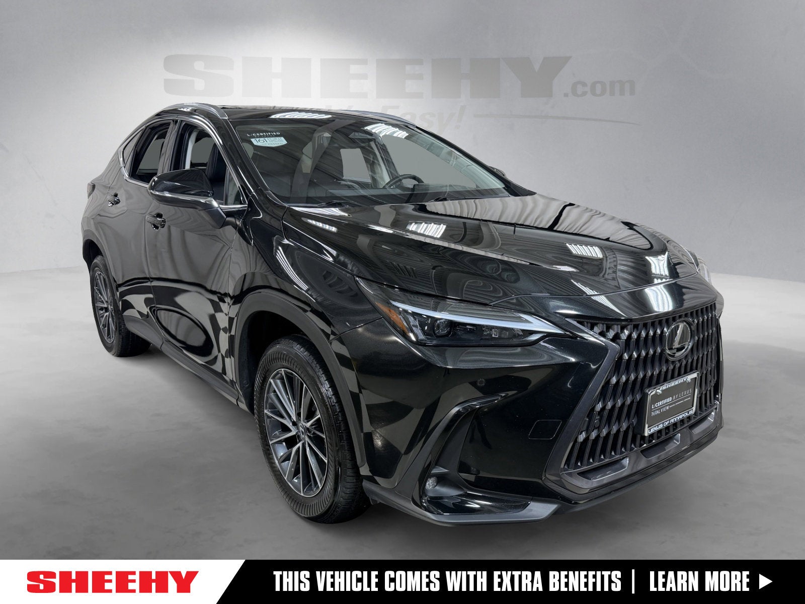 2025 Lexus NX