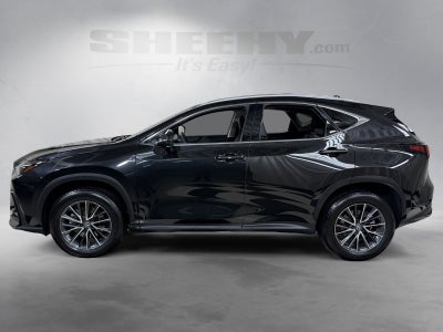 2025 Lexus NX 350 Premium