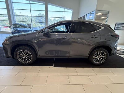 2025 Lexus NX NX 350 Premium