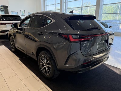 2025 Lexus NX NX 350 Premium