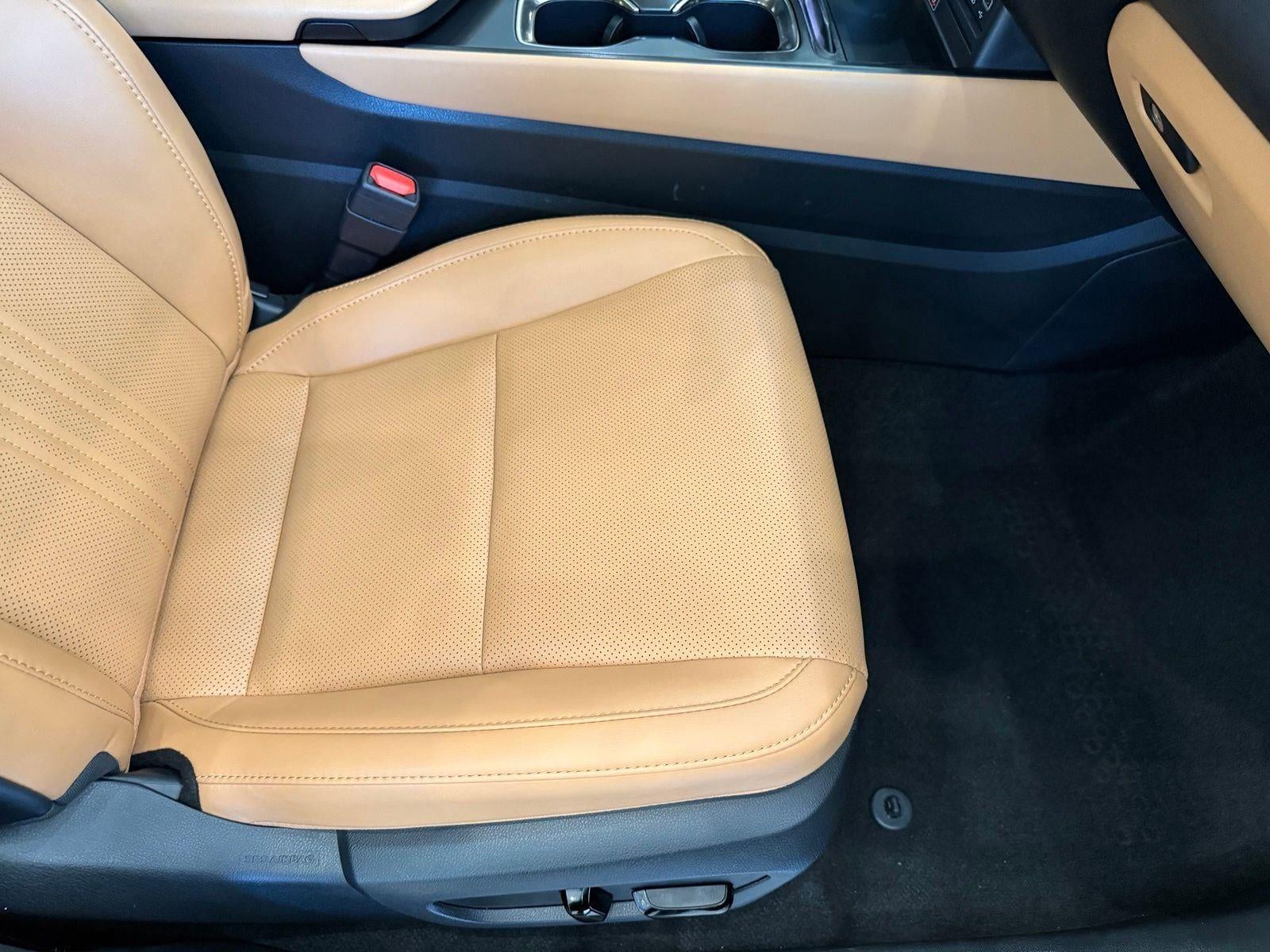 2025 Lexus NX NX 350 Premium