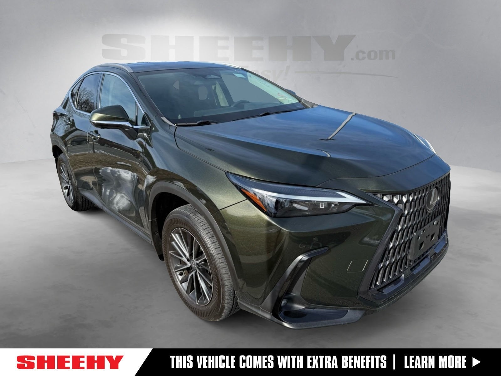 2024 Lexus NX 350 Premium