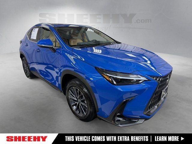 2025 Lexus NX 350 350 Premium AWD's photo