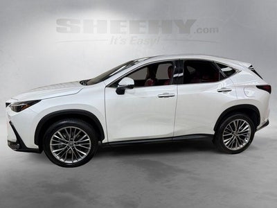 2025 Lexus NX 350h Premium