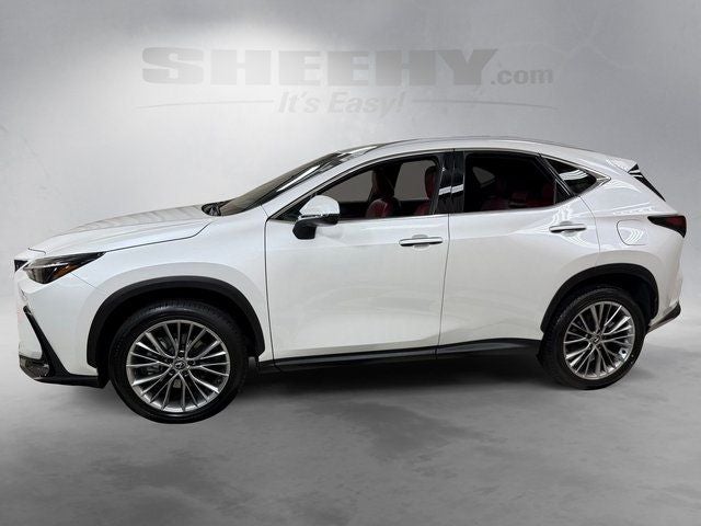 2025 Lexus NX 350h Premium