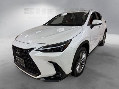2025 Lexus NX 350h Premium