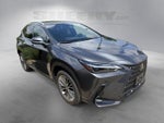 2025 Lexus Nx NX 350h Premium