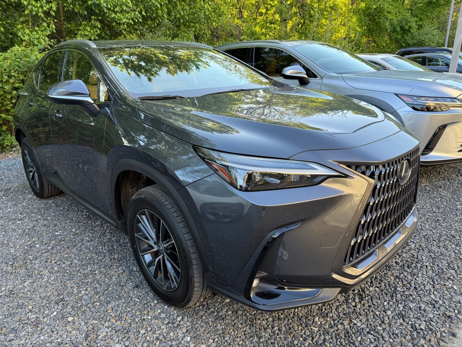 2024 Lexus NX 350h Premium