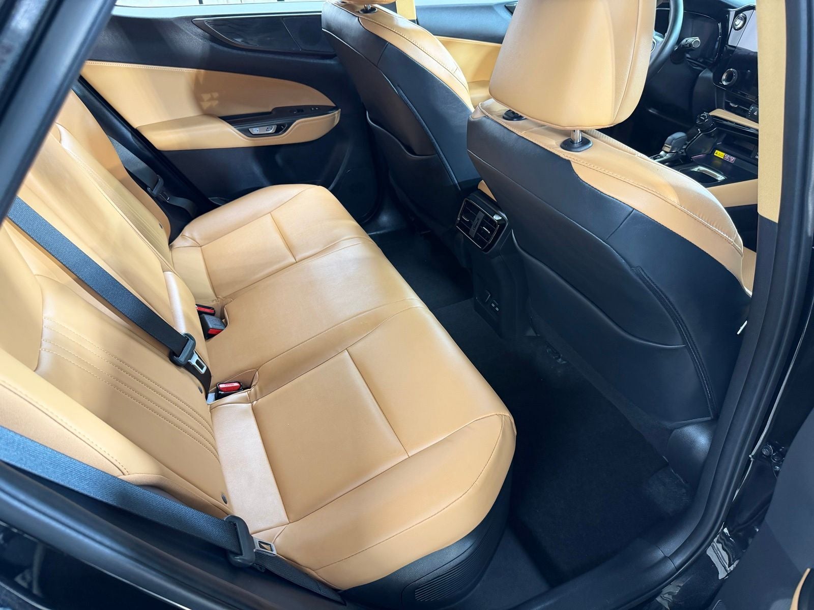 2024 Lexus NX 350h Premium